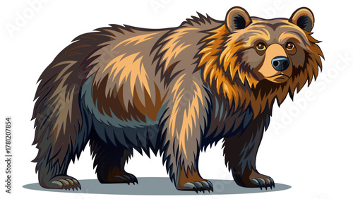 A grizzly bear standing on a