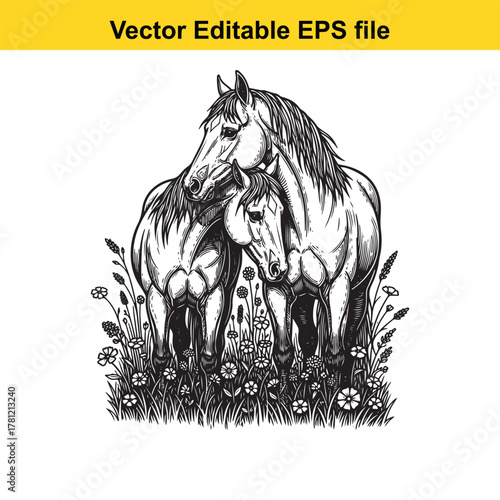 Mother and child horse in a field of flowers, black and white illustration, vector art