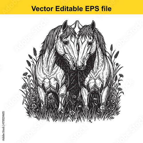 Two horses standing close together in a field of grass and flowers, black and white illustration