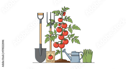 Gardening concept illustration with a healthy tomato plant surrounded by essential tools like a shovel and watering can.