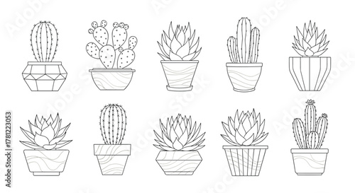 Set of ten different cacti and succulent plants in decorative pots, illustrated in a clean, modern black outline style.