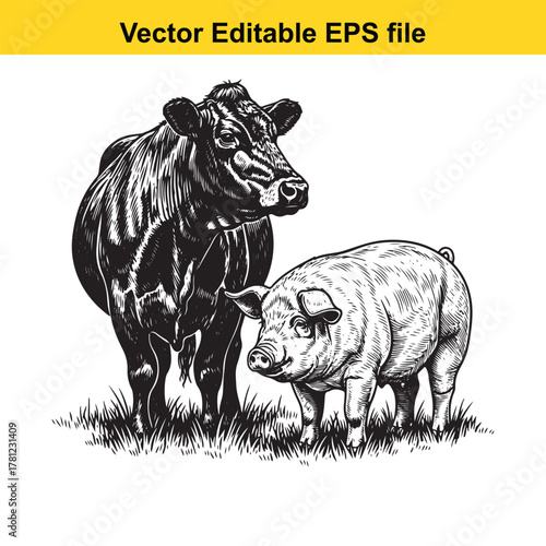 A black and white illustration of a cow and a pig standing in the grass, with a yellow banner at the top stating vector editable eps file