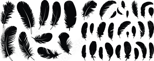 Assorted Black Feather Silhouettes on White Background Collection of Different Shaped Bird Plumage Designs