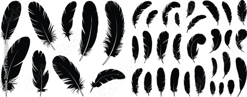 Assorted Black Feather Silhouettes Illustration Graphics Resource Collection Isolated on White