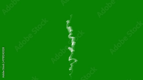 Thick white fog and swirling smoke rolling across green screen background, atmospheric dense steam cloud floating and drifting, foggy mist vapor motion graphics for VFX overlay and cinematic effects