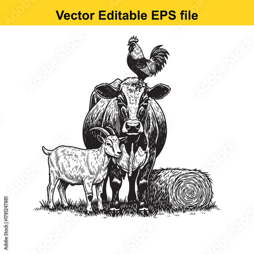 A cow, a goat, and a rooster are depicted in a black and white illustration, standing on grass with a hay bale nearby