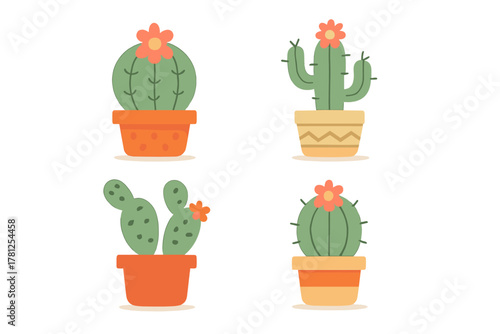Four potted desert cacti with bright orange flowers in decorative ceramic pots