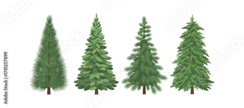 Variety of evergreen trees with lush green foliage
