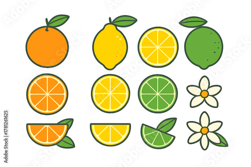 Brightly colored set of whole and sliced citrus fruits: orange, lemon, and lime with flowers