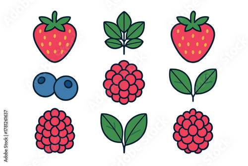 Colorful outline set of fresh summer berries including strawberry raspberry and blueberry