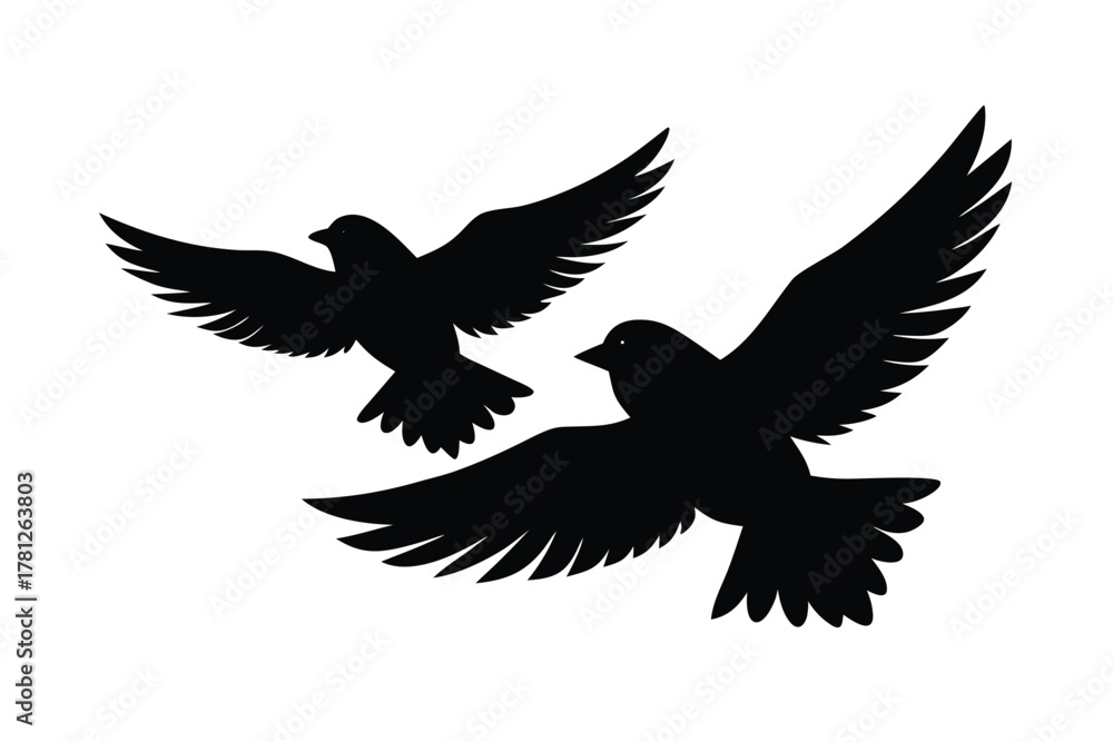 Fototapeta premium birds flying vector icon silhouette