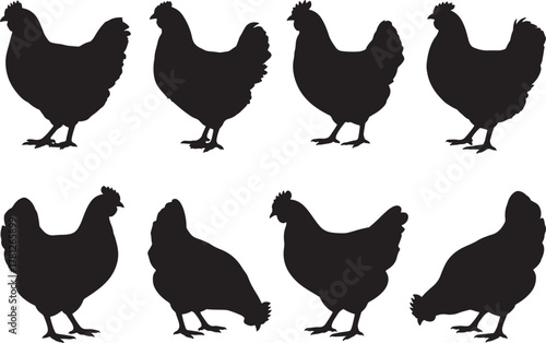 Chicken and Poultry Silhouette Icon Set | Farm Animal Vector Illustrations