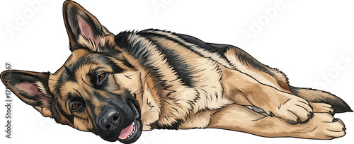 German Shepherd Dog lying down relaxed vector illustration