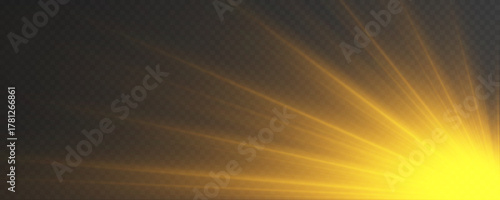 Golden glitter sparkles around a radiant sunburst core. The shining texture enhances luxury and brilliance. Perfect for elegant vector graphics and decorative effects.