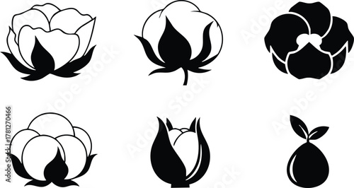 Cotton plant vector icons set with seed and boll illustrations in black and white style for agricultural design and textile industry use 