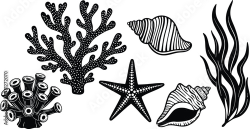 Marine Life Vector Illustration Featuring Coral Starfish Seashells and Seaweed in Black and White Style 