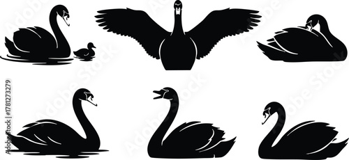 Black swan silhouette vector collection with different poses and wing movements natural flow 