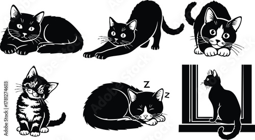 Black and white cats in various playful and resting poses vector illustration 