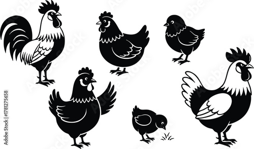 Rooster hen and chick silhouettes farm animals vector illustration in black and white style 