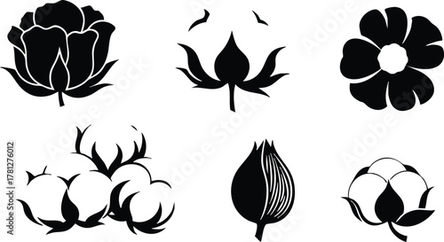Cotton Plant Vector Icons with Flowers and Bolls in Black Silhouette Style for Agriculture and Textile Design 