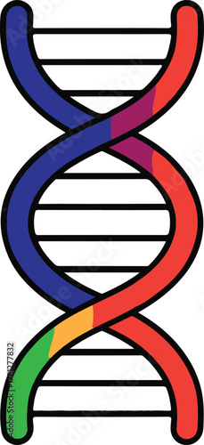 Colorful abstract D N A double helix structure with black outline molecule genetic vector illustration EPS file download.
