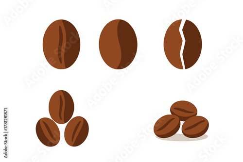 Collection of roasted coffee beans in various styles suitable for cafe design