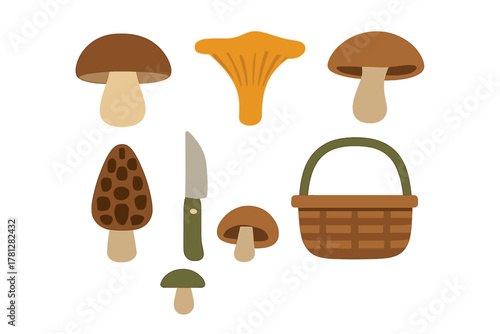 Various edible wild fungi species such as porcini, chanterelle, and morel with a gathering basket and knife