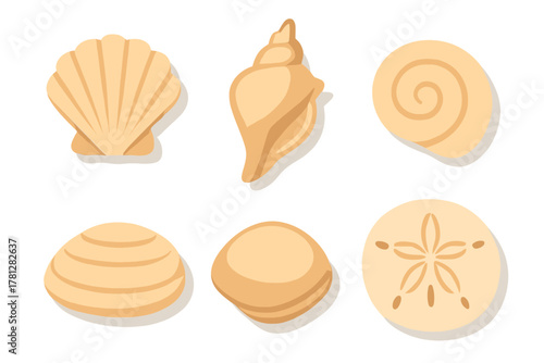 Assortment of six different beige and brown marine shells including scallop, conch, and sand dollar