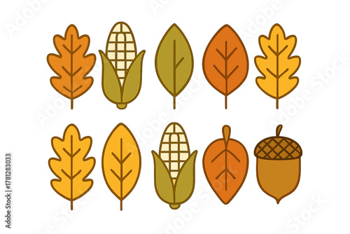 Colorful collection of autumn leaves, corn cobs, and an acorn representing the fall season
