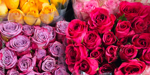 close-up of beautiful roses in shades of pink and yellow. holiday background or wide banner with copy space. special occasion design element.