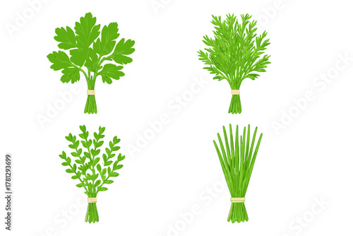 Four bunches of fresh green culinary herbs tied with twine including parsley dill and chives