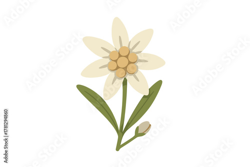 Two professional kitchen cleaver knives with dark hammered steel blades and wooden handles isolated on white background