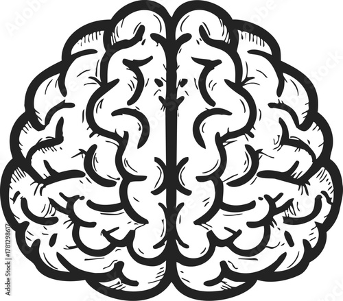 Brain sketch hand drawn style with detailed lines and folds — stock vector