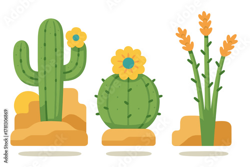 Collection of blooming desert cacti and succulent plants standing in the dry sand