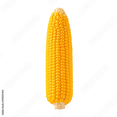 Bright Yellow Corn on the Cob, Fresh and Ready for Cooking, Showcasing a Rich...