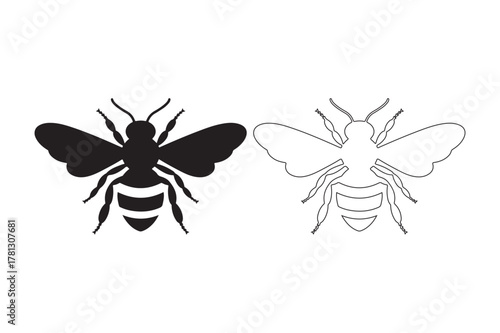 Silhouette and outline of a bee side by side