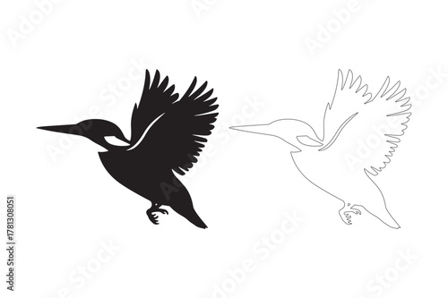 Silhouette and outline of a kingfisher in flight