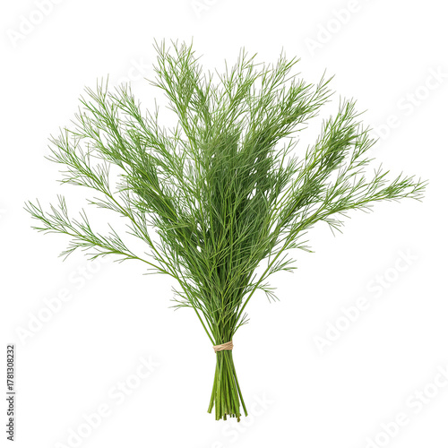 Fresh Dill Herb Bundle Captured on a Wooden Surface, Ideal for Cooking and Ga...
