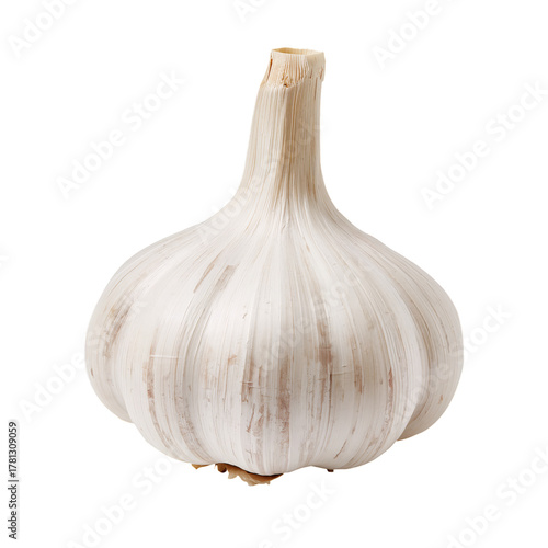 Fresh Garlic Bulb Showcasing Its Smooth, Textured Skin in Natural Light and S...