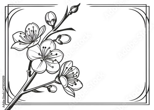 Elegant line art cherry blossom branch isolated on transparent background