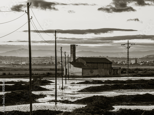 Albufera Natural Park in Valencia (Spain)