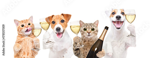Group of happy pets with champagne isolated on white background