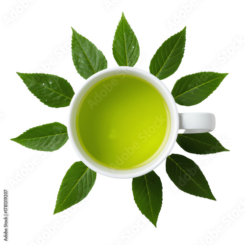 Green Tea Surrounded by Fresh Green Leaves for a Natural Look and Feel.