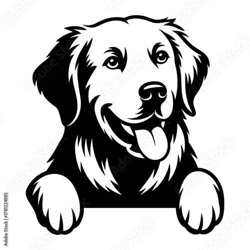 Peeking Golden Retriever