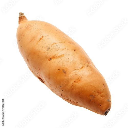 Golden Sweet Potato Resting on a Plain Background Ready for Cooking or Baking.