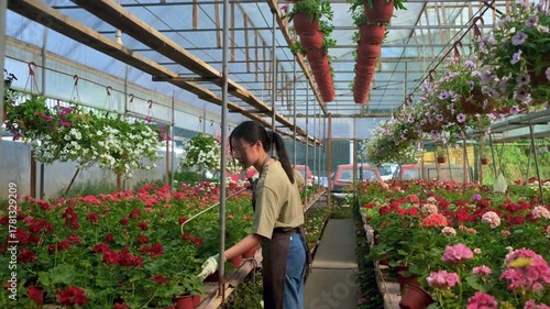 Asian woman working in greenhouse watering flowers.