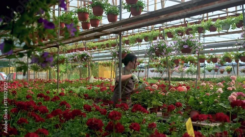 Asian woman working in greenhouse watering flowers.