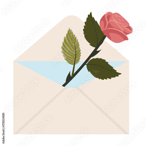 Dusty pink rose. A single blossom in a mailing envelope. Vector illustration on a white background.