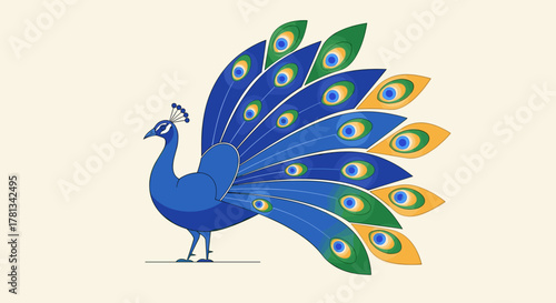 Stylized illustration of a peacock with vibrant blue, green, and yellow plumage fanned out majestically.