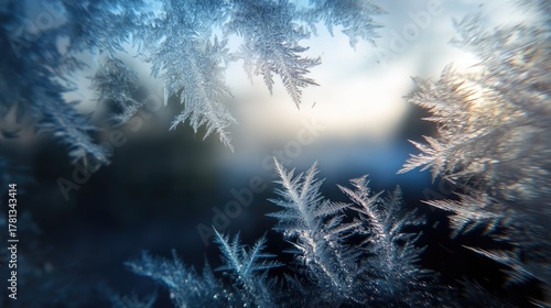 Intricate ice crystals form on delicate leaves, capturing the soft glow of morning light. The tranquil winter environment highlights the beauty of nature's frost